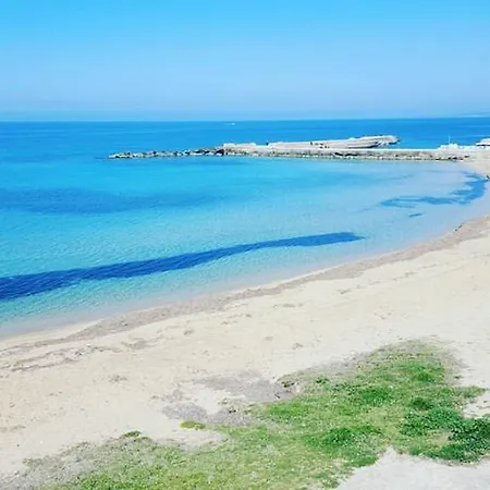 Rosaria * Torre Suda